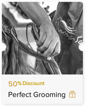 Gourmet Club Salon discount 